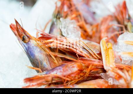 Pesce al banco nel mercato del pesce Foto Stock