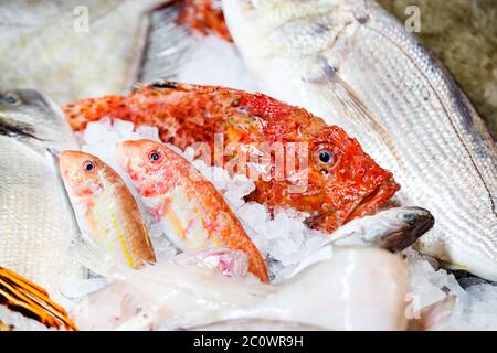 Pesce al banco nel mercato del pesce Foto Stock