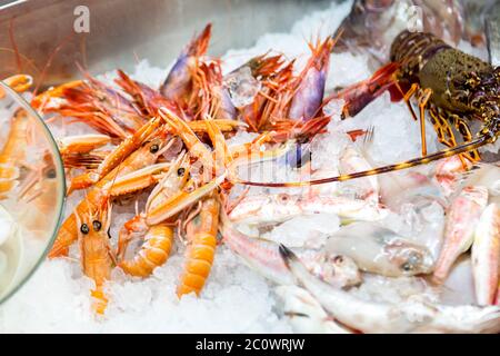 Pesce al banco nel mercato del pesce Foto Stock