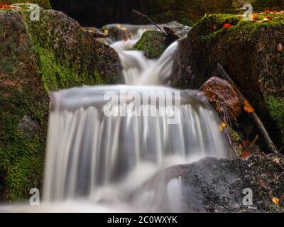 Atmosfera autunnale nella foresta con piccole cascate di ruscello. Esposizione prolungata con flusso d'acqua setoso sfocato. Foto Stock