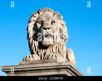 Scultura leone sul Ponte delle catene a Budapest, capitale dell'Ungheria, Europa. Scatto dettagliato su sfondo blu. Foto Stock