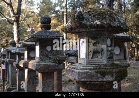 Linea di lanterne di pietra nel Santuario di Kasuga Taisha a Nara Giappone Foto Stock