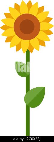 Un fiore vettore piatto di girasole isolato Illustrazione Vettoriale