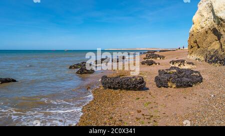 Bella costa atlantica nella penisola Valdes a bassa marea con alga, conchiglie e grotte, Patagonia, Argentina, estate Foto Stock