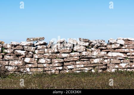 Pareti in pietra arida tradizionali intemperie fatte di calcari sull'isola Oland in Svezia Foto Stock