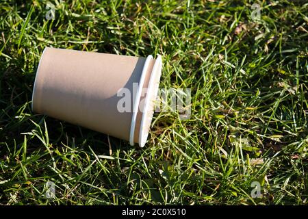 Due tazze di cartone vuote annidate nell'erba nella luce della sera Foto Stock