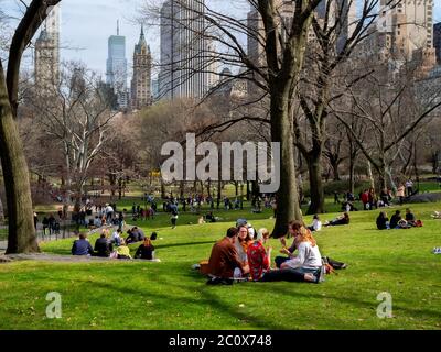 La primavera nel Central Park di New York attira gruppi di persone che si divertono con il tempo sull'erba accanto a Park Drive e Central Park South. Foto Stock