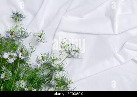 Sfondo romantico con fiori primaverili sulle lenzuola. Vista dall'alto, spazio per il testo Foto Stock