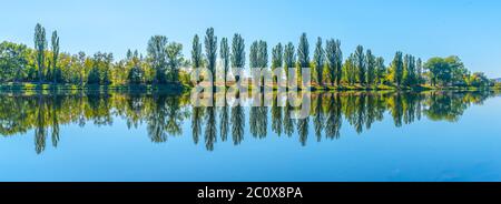 Vicolo di lussureggianti alberi di pioppo verde che si riflette nell'acqua nella soleggiata giornata estiva. Foto Stock