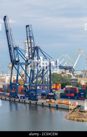 Terminal dei container per acque profonde a Danzica Foto Stock