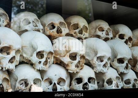 Teschi umani ai campi di uccisione, Choung Ek, Phnom Penh, Cambogia Foto Stock