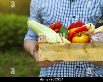 Uomo contadino che tiene una scatola di legno riempito verdure fresche Foto Stock