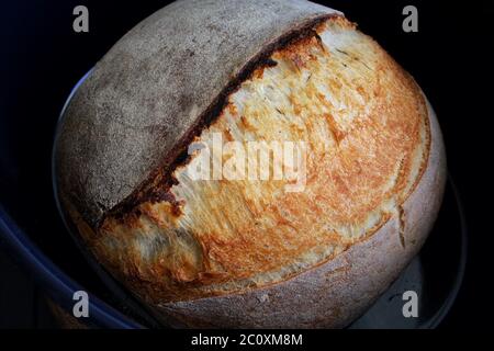 Pane di pasta acida in padella blu su fondo nero. Fotografia fatta in casa di pane alimentare. Illustrazione di alta qualità Foto Stock