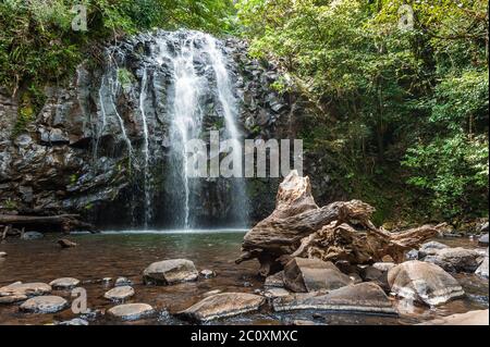 Appartata e maestosa Cascate Ellinjaa a Milla Milla, sulle Atherton Tablelands del far North Queensland in Australia. Foto Stock