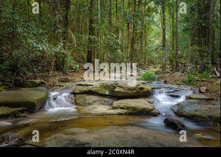 Una lunga esposizione di Serenity Falls e piscina rocciosa alla fine della passeggiata nel bush del Parco della Foresta di Buderim sulla Sunshine Coast nel Queensland sudorientale. Foto Stock