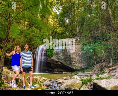 Coppia turistica sotto il grande albero di felce con Serenity Falls sullo sfondo di Foto Stock