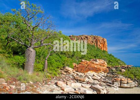 Punto di rafting lungo la costa di Kimberley Foto Stock