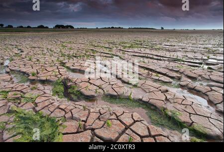 Fango incrinato sulla costa del mare di Wadden Foto Stock