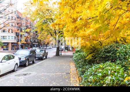 marciapiede vuoto e alberi sulla strada della città di seattle Foto Stock