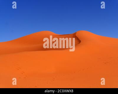 Dune di sabbia Erg Chebbi in Marocco Foto Stock