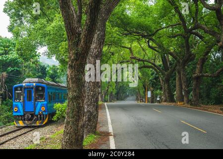 Jiji tunnel verde e treno a nantou, taiwan Foto Stock