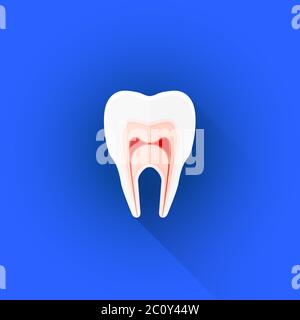 icona della struttura piatta vettoriale dell'illustrazione del dente Foto Stock