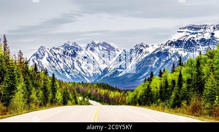 Icefields Parkway si snoda attraverso la catena montuosa delle Montagne Rocciose tra la città di Jasper e i campi di ghiaccio Columbia nel Jasper National Park, Canada Foto Stock