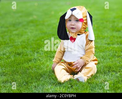 Piccolo bambino divertente che indossa il vestito di cucciolo Foto Stock