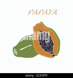 Papaya fruttus. Vettore di illustrazione. Insieme vettoriale de nova matura . Vitaminum C. Illustrazione Vettoriale
