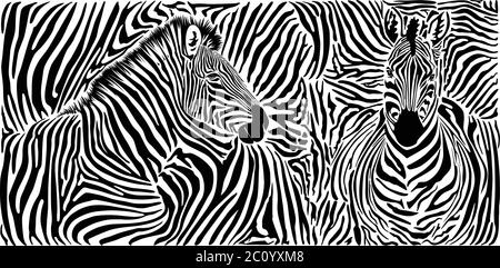 Motivo Zebra con due teste Illustrazione Vettoriale