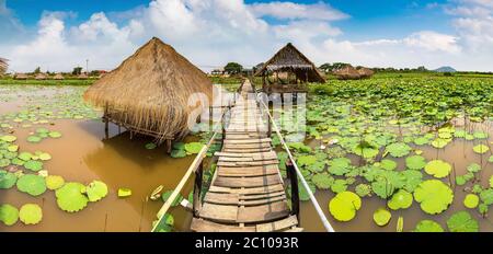 Panorama di Lotus fattoria vicino Siem Reap, Cambogia in una giornata estiva Foto Stock