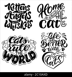 Un insieme di frasi motivazionali sui gatti. Grafica vettoriale su sfondo bianco, per la progettazione di cartoline, poster, striscioni, stampe per t-shirt Illustrazione Vettoriale