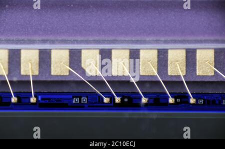 Macro foto di contatti dorati per collegare la matrice alla scheda PCB Foto Stock