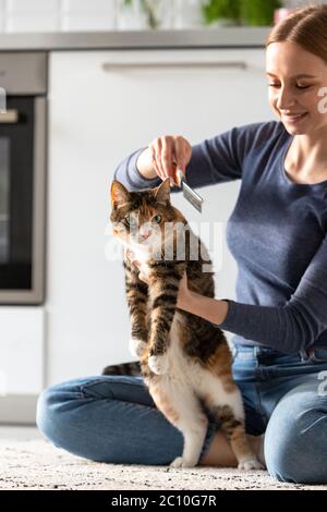 Donna sorridente proprietario combing, graffiando il suo gatto. Pettini. Foto Stock