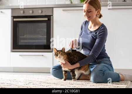 Donna sorridente proprietario combing, graffiando il suo gatto. Pettini. Foto Stock