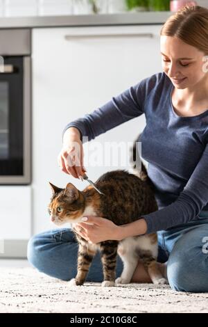 Donna sorridente proprietario combing, graffiando il suo gatto. Pettini. Foto Stock