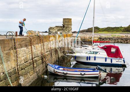 Pescatore che prepara pentole di aragosta sul porto di Dunure Harbor, Ayrshire, Scozia, Regno Unito Foto Stock