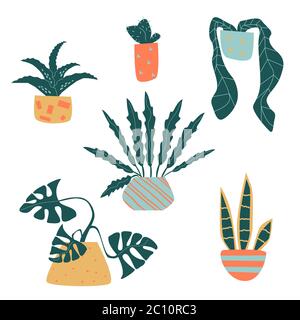 Insieme di piante domestiche del vettore divertenti in pentole Illustrazione Vettoriale