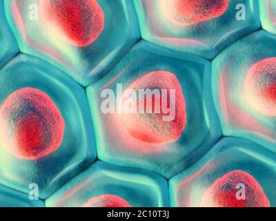 3d'illustrazione di una vista dall'alto sulla cella blu pattern con red nucleo cellulare Foto Stock