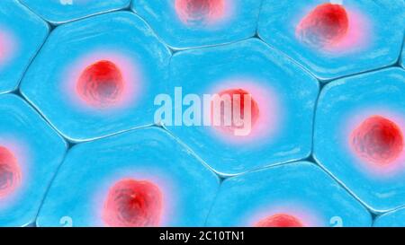 3d'illustrazione di una vista dall'alto sulla cella blu pattern con red nucleo cellulare Foto Stock