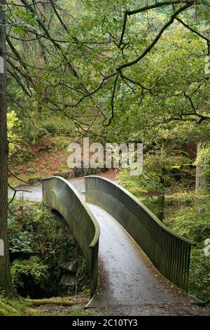 Trevor Woodburn Bridge sul fiume Brathay in autunno, Cumbria, Regno Unito Foto Stock