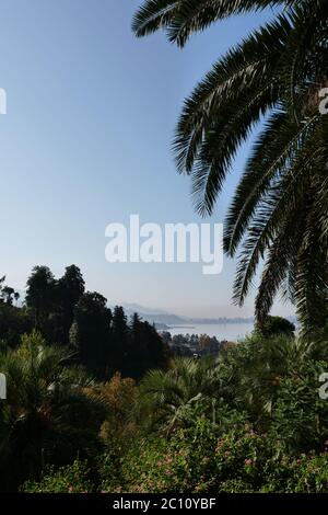 Bella vista di Batumi (Georgia) dal giardino botanico in tempo soleggiato. Un segno davanti a un albero di palma indefinito Foto Stock