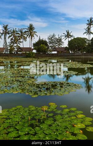 Stagno in Candidasa - isola di Bali Indonesia Foto Stock