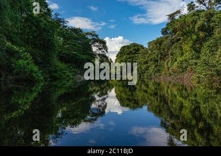 Rio Amazzone riflessione acqua yana yakku Foto Stock