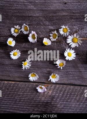 Bianco selvatico daisies fiori forma del cuore su vecchio tavolo di legno Foto Stock