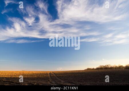 Campo Arato in luce dorata. Polacco paesaggio rurale Foto Stock