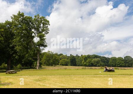 Immagini dei giardini di Trentham a Stoke-on-Trent Staffordshire, Regno Unito Foto Stock