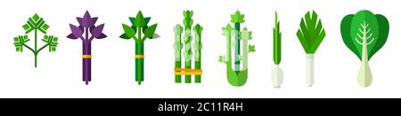 Mix di foglie di lattuga illustrazione vettoriale in design piatto. Ingredienti per insalate. Illustrazione Vettoriale