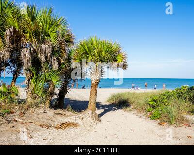 Passerella d'ingresso a Manasota Key Beach a Manasota Key sul Golfo del Messico in Englewood Florida negli Stati Uniti Foto Stock