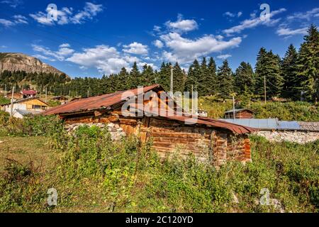 I laghi, gli altipiani e le foreste dell'Arsiyan, nel quartiere di Savsat di Artvin, offrono un'incredibile immagine naturale. Foto Stock